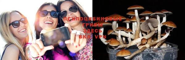 СК Покачи