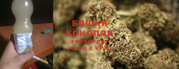 стаф Покровск