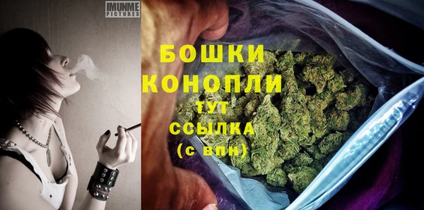 стаф Покровск