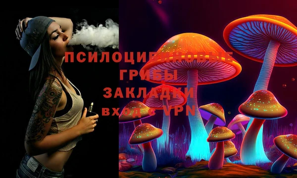 стаф Покровск